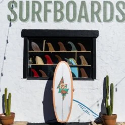 Almond X Chomp | Rover Model -Almond Surfboards Store 2E1A1022