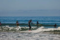 Almond X KBut | Mega Beach Chicken -Almond Surfboards Store 2E1A3814