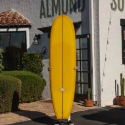 7'4 Mini Walks On Water #8865