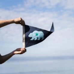 Slightly Choppy <br> California Bear Flag -Almond Surfboards Store 7Z4A2704