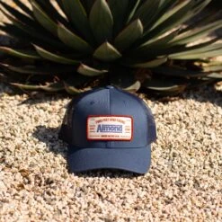 Everett Trucker Hat | Navy -Almond Surfboards Store DN0A2411