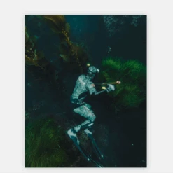 Dive Photo Print
