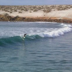 Almond X Chomp | Rover Model -Almond Surfboards Store conner rover mex 001 f23d3862 523f 44fb 8b10 d3b41701947f